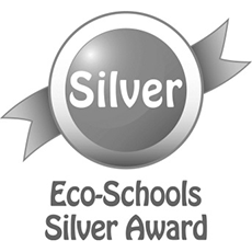 Eco Schools Silver Award Logo