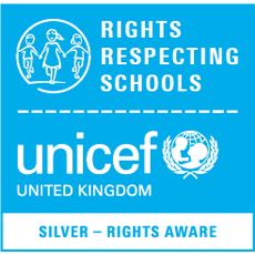 UNICEF silver Logo